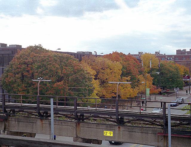 Chicago in Autumn