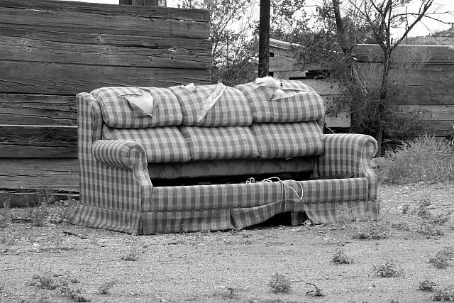 Feral Furniture