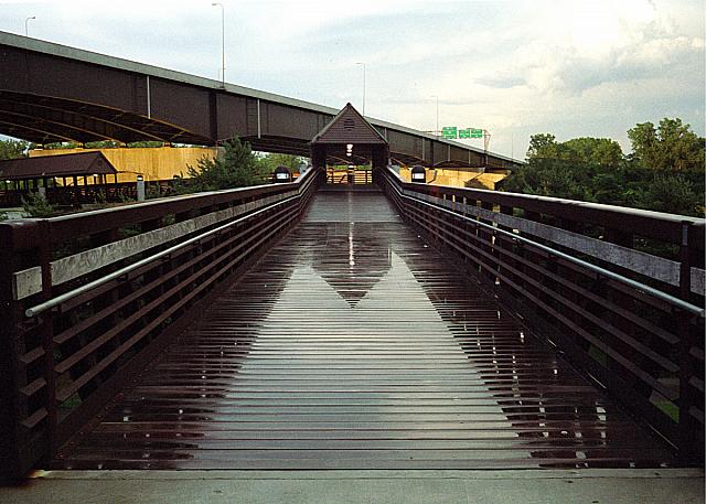 Wet Boardwalk